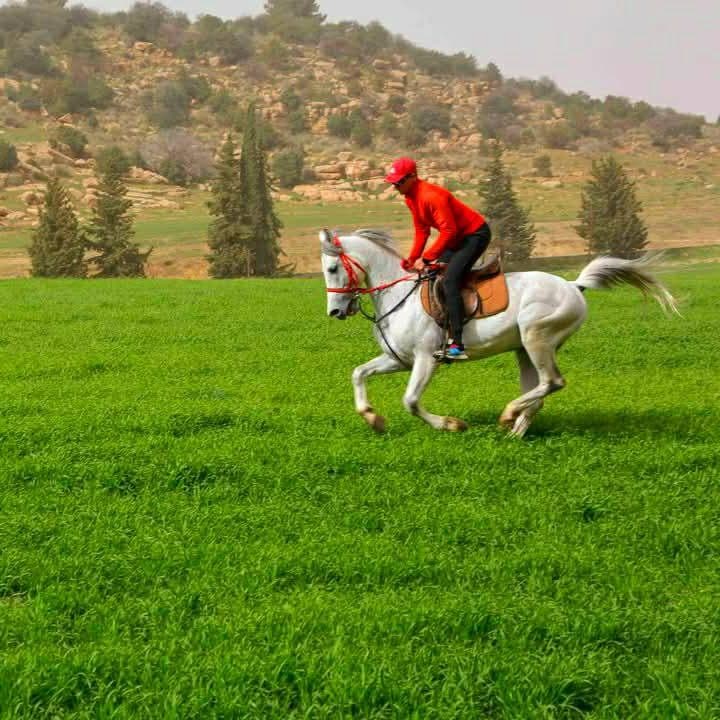 l'équitation