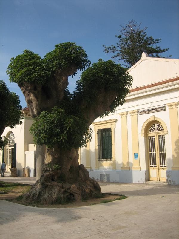 Le Musée de Cherchell
