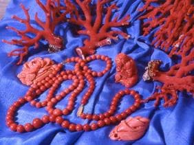 El-Kala capitale du corail rouge