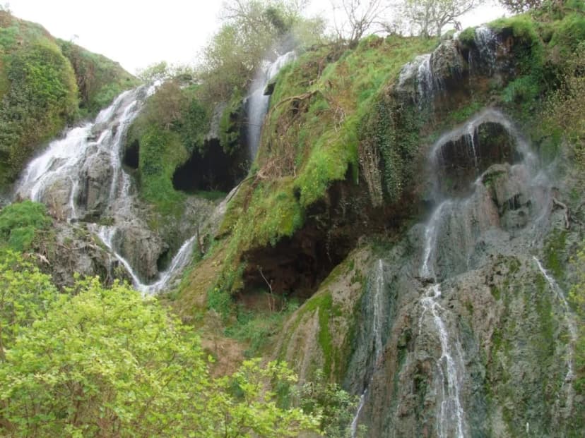 Les Sources de Tifret