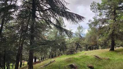 Forêt de Ben Chicao