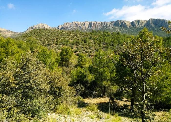 Mont Sidi Rghis