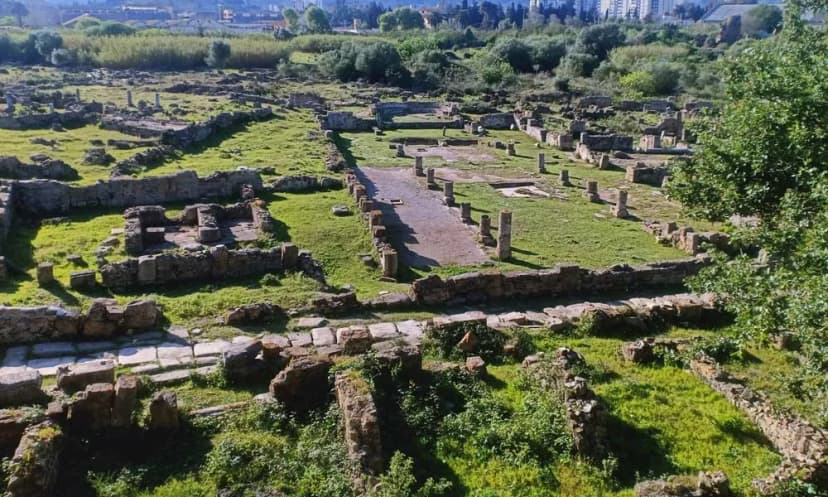 Musée des Ruines d'Hippone