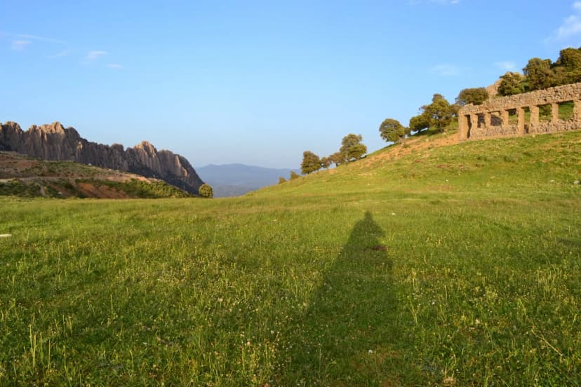 Direction du Tourisme et de l'Artisanat de  Tissemsilt