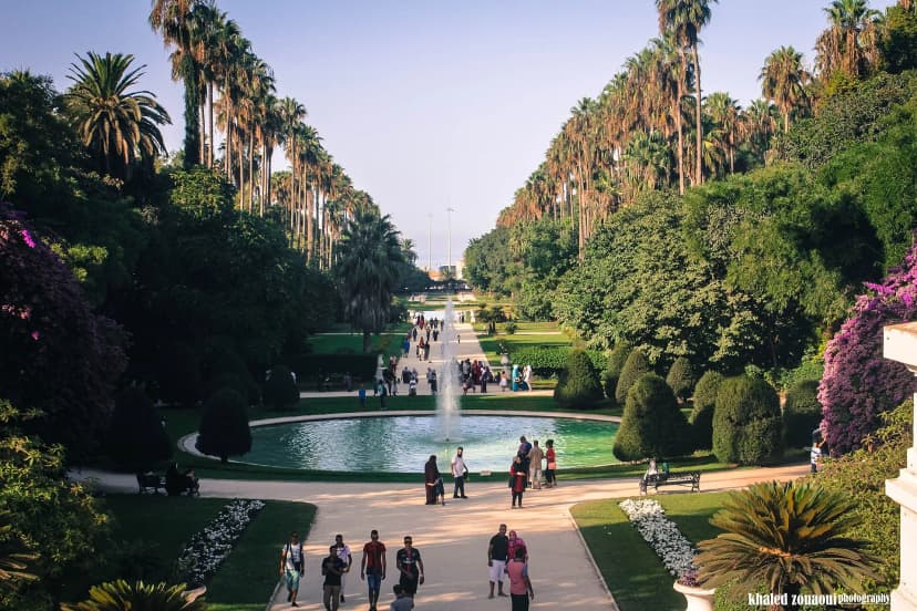 Jardin Botanique du Hamma
