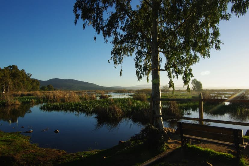 Le Lac Tonga