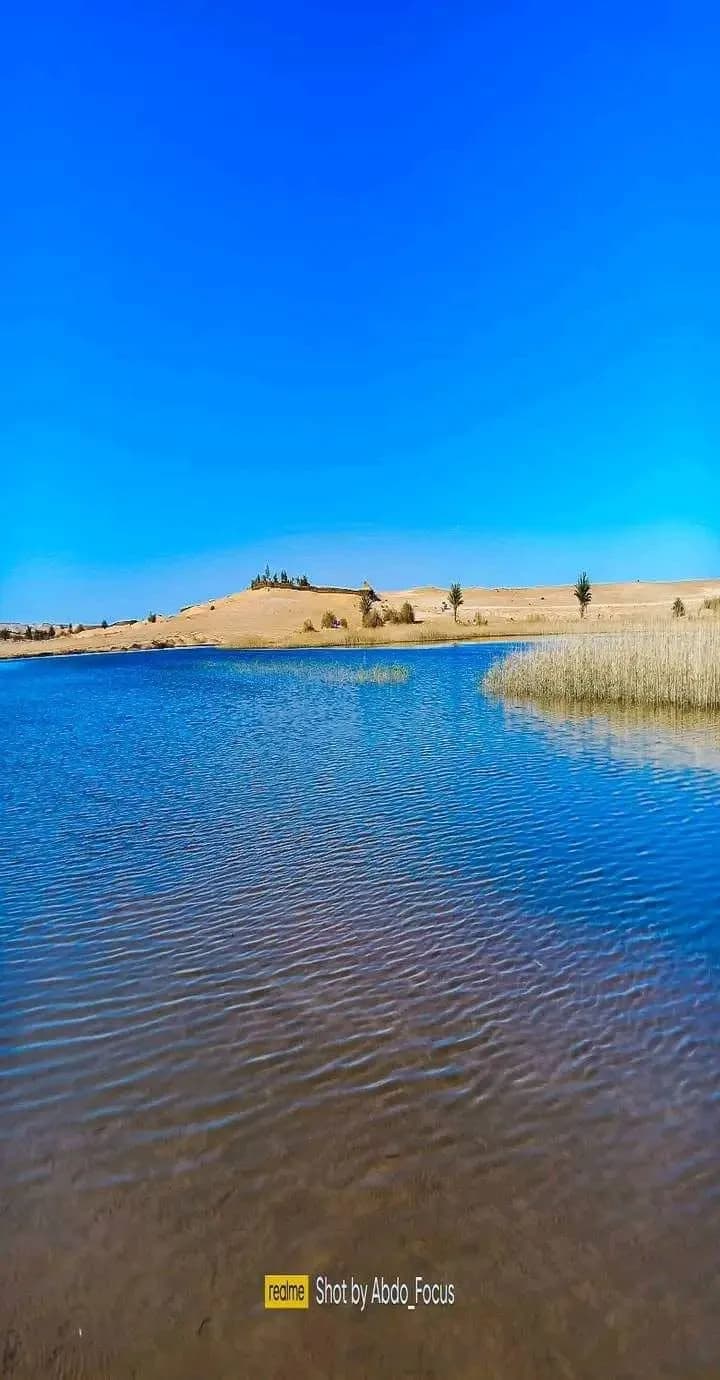 Le Lac de Hassi Ben Abdallah