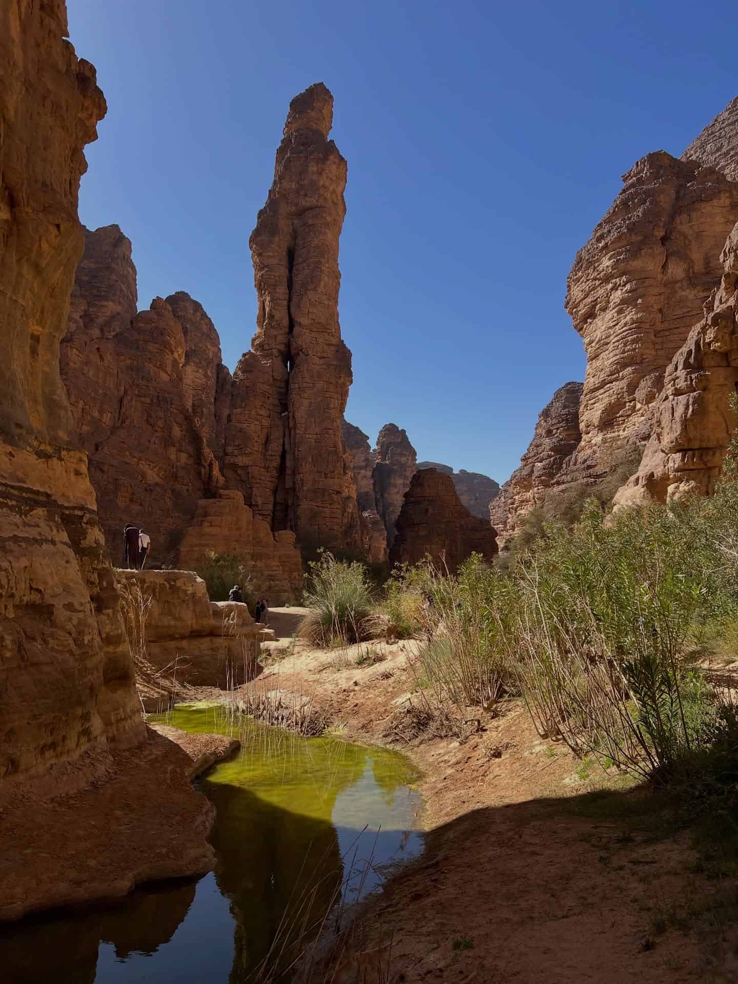Vivez une expérience unique au cœur du Sahara