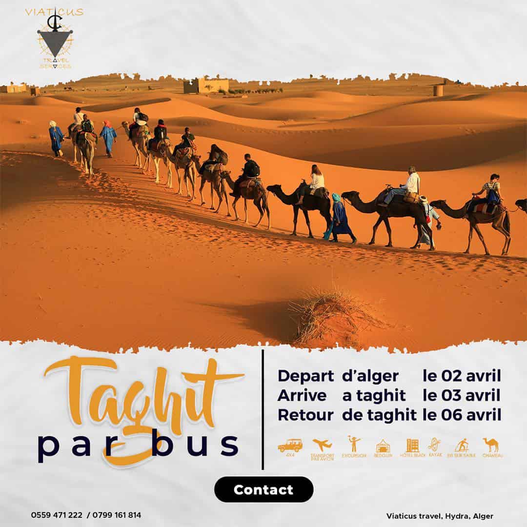 Taghit Par Bus : Votre Rendez-vous au Cœur des Dunes