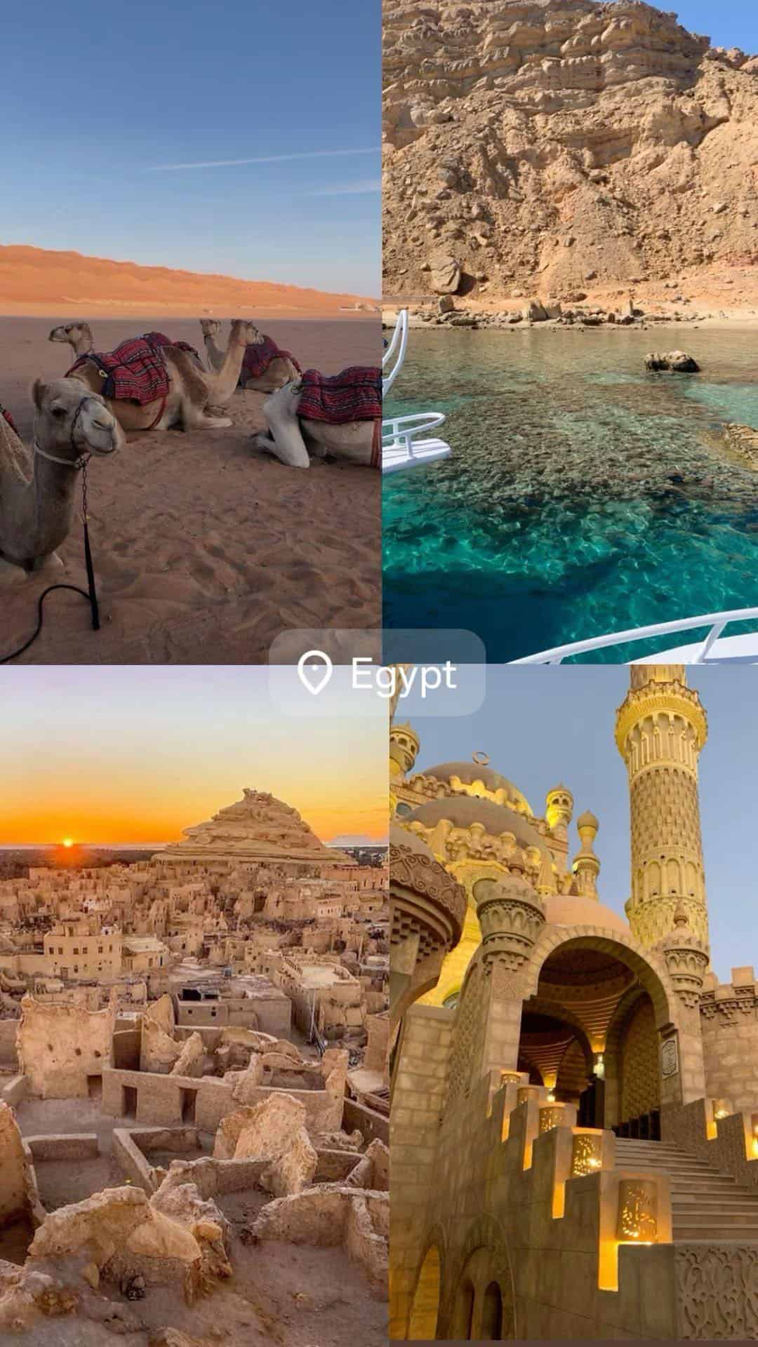 #برنامج #مصر #صيف 2025
